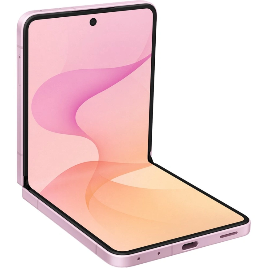 Смартфон Samsung Galaxy Z Flip8 SM-F776B 12/256GB Pink фото 3