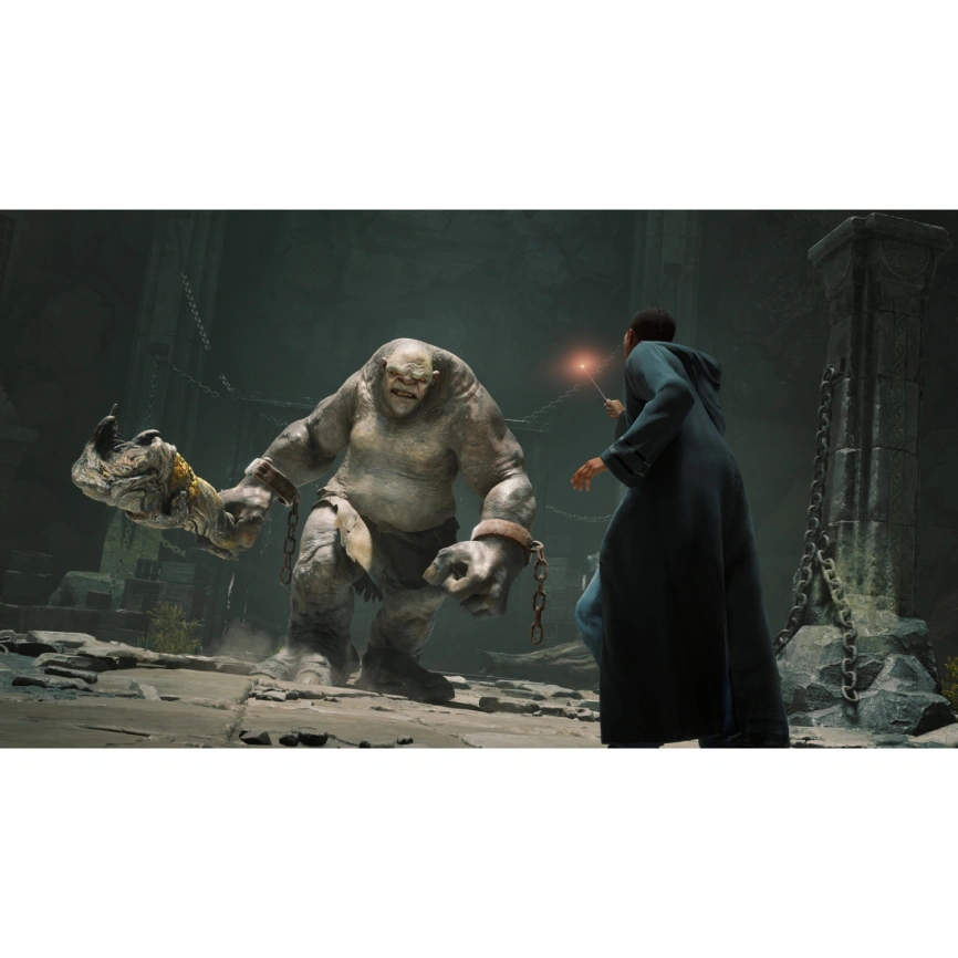 Игра Nintendo Hogwarts Legacy (Русские субтитры) (Nintendo Switch) фото 5