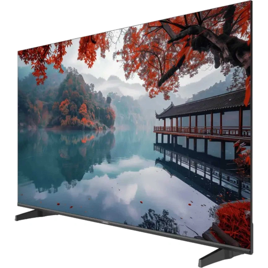 Телевизор Haier 55 LED H1 (DH1ZS0M00RU) фото 2